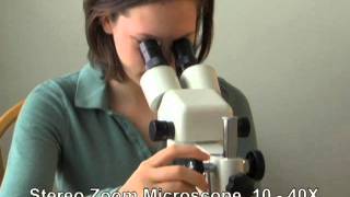 Learning about Stereo Microscopes [upl. by Dinnie]