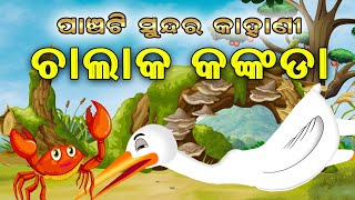 5 Special Story  Odia moral Story  Odia gapa  Suna kuradhi  Odia story  Squirrel Animation [upl. by Allegna]