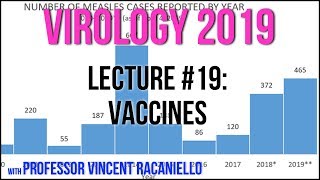 Virology Lectures 2019 19 Vaccines [upl. by Reta502]