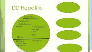 Differenzialdiagnose Hepatitis [upl. by Leamaj665]