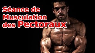 Séance de Musculation des Pectoraux [upl. by Harleigh]