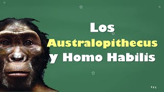 ⭐Los Australopithecus y Homo Habilis 📘 aulamedia Historia [upl. by Hukill]