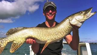 5 Fischen  Angeln  Schleppen auf Hecht im Bodensee [upl. by Briano576]