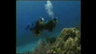 Buceo CursoCapitulo 1 [upl. by Assetal]