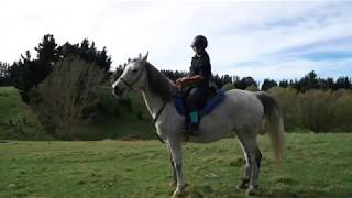 Free Range Riding Loburn North Canterbury [upl. by Eirrod]