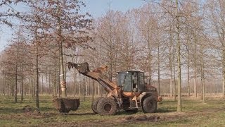 Van den Berk Boomkwekerijen [upl. by Eisak]