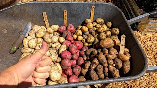 Potato Harvest and Mid April Garden Update at Deep South Texas [upl. by Evannia25]