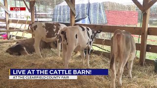 Live at the Cattle Barn Clearfield County Fair [upl. by Kenwee991]