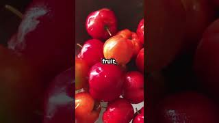 The Miracle Fruit Turning Sour to Sweet 🍋➡️🍭 facts trendingshorts funfacts trending shorts [upl. by Nodlehs836]