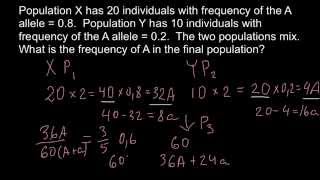 How migration affect allele frequencies [upl. by Dihaz]