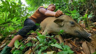 MONSTER Fierce wild boar attacks people wild boar trapping skills survives alone [upl. by Amadas]