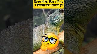 How Many Times Does a Lizards🦎 Heart Beat in 1 Minute Fascinating Discoveryquot amazingfacts [upl. by Ruperto]