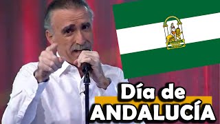 El nuevo HIMNO de ANDALUCÍA 🇳🇬🤣🤣 El Niño del Ukelele [upl. by Porett183]