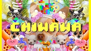 Just Dance 2016《舞力全開 2016》Chiwawa Official Music Video Anne Horel  Ubisoft SEA [upl. by Pettit]