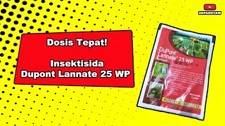 Review Insektisida Dupont Lannate 25WP [upl. by Schreibman371]