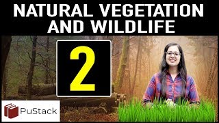 Geography  Natural Vegetation and Wild Life Part 2 [upl. by Channing]