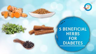 Best Ayurvedic herbs for diabetes [upl. by Haliak]