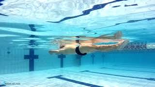 Palmateio dorsal com as mãos acima da cabeça  EDUCATIVO DE NATAÇÃO 29 🏊‍♂️ [upl. by Aicinat]