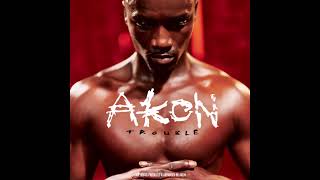 Belly Dancer Bananza  Akon w lyrics [upl. by Africah194]