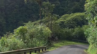 El Bosque Eterno de los Niños Estación Pocosol [upl. by Nylitsirk]