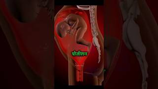 Normal delivery होगीअगर इन दो अंगों में दर्द पड़ रहा है तो😨shorts amazingfacts baby pregnency [upl. by Akimed]