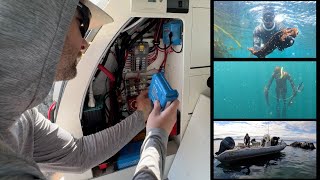 Vanlife Upgrades amp Spearfishing In British Columbia  Catch amp Cook [upl. by Litton]