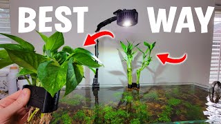 BEST Way To Display Houseplants In Your Aquarium  Full Tutorial [upl. by Ender]