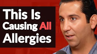 The ROOT CAUSES Of Allergies Why They Get WORSE amp How To Get Rid Of Them  Dr Elroy Vojdani [upl. by Ellwood794]