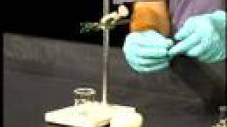 Organic Chemistry Lab Demo Isolation of Limonene part 2 [upl. by Richlad123]