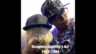 Occupiers Liability Act 1957 amp 1984 Tort Law [upl. by Novart837]