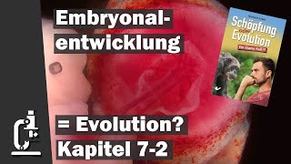 Evolution in der Embryonalentwicklung Schöpfung oder Evolution 72 [upl. by Norramic]