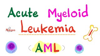 Acute Myeloid Leukemia AML  Auer Rods  Myeloperoxidase Positive  Hematology amp Oncology Series [upl. by Basil]