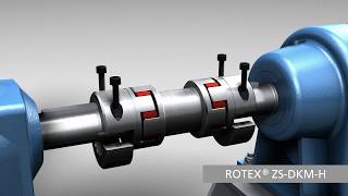 ROTEX® ZSDKMH Double cardanic jawtype coupling  KTR Systems [upl. by Cathie70]