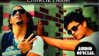 Charlie y Nani  Pintando Amores Audio Oficial [upl. by Marquita]