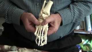 Cuboid Syndrome Holistic Treatment Hesch Method [upl. by Aivad]