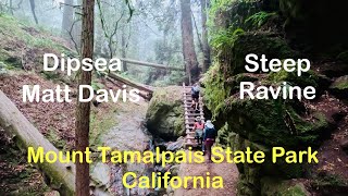 Dipsea Steep Ravine and Matt Davis Loop Mount Tamalpais State Park California [upl. by Ahsenet]