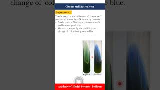 Citrate utilization test Biochemical tests  Microbiology  by ImranY aseen [upl. by Aiclid503]