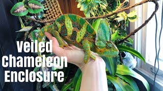 How to Set Up A Veiled Chameleon Enclosure [upl. by Chick]