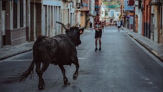 Toros ultima tarde Barrio San Joaquin  Toro de calle  Onda [upl. by Annawot]