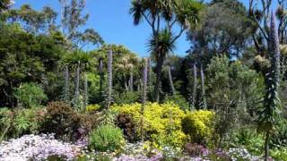 Isles of Scilly Landscape and Nature [upl. by Yaya935]