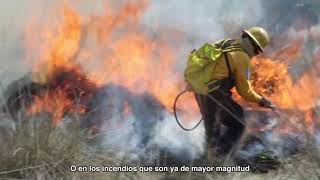 ¿Cómo puedo ser combatiente de incendios forestales [upl. by Anitreb958]