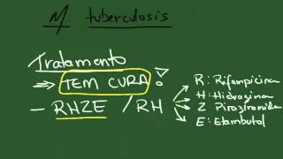 Mycobacterium tuberculosis e leprae  Resumo  Microbiologia [upl. by Adalai486]