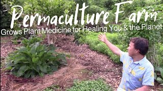 Permaculture Farmacy Grows Plant Medicine that Heal You amp The Planet  The Future of Farming [upl. by Hpeseoj]