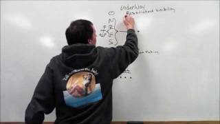 Rule 35 Sound Signals in Restricted Visibility  Sound and Light Signals [upl. by Theone]