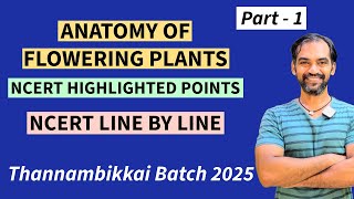 Anatomy of Flowering Plants in Tamil  Part 1  NCERT Line by line  TB 2025 [upl. by Amyas939]