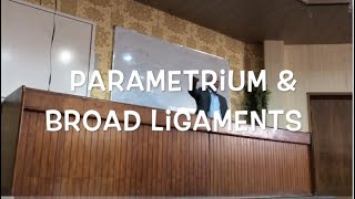 Anatomy broad ligament amp parametrium by Drsaad AlRawi [upl. by Parthena]