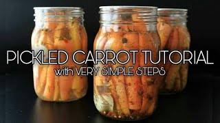 Pickled Carrots Tutorial  Pickling Process  Basic Food Preservation [upl. by Nanreit]