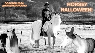 HORSEY HALLOWEEN Contains mild lighthearted swearing from the horses mouth of course [upl. by Chard]