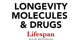 NMN NR Resveratrol Metformin amp Other Longevity Molecules  Lifespan with Dr David Sinclair 4 [upl. by Rednasxela828]