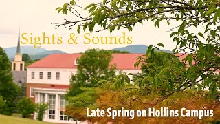 Sights amp Sounds  Late Spring on Hollins Campus 2024 [upl. by Krusche872]